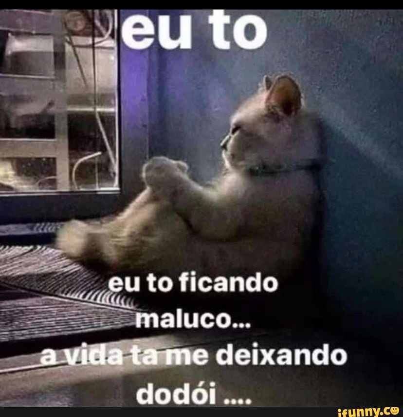 Memes da Vida (Qmemesdavidaofe Minha cabeça o dia todo: Que isso meu filho  calma Ele goooosta CAVALO (Qmemesdavida.ofe - iFunny Brazil