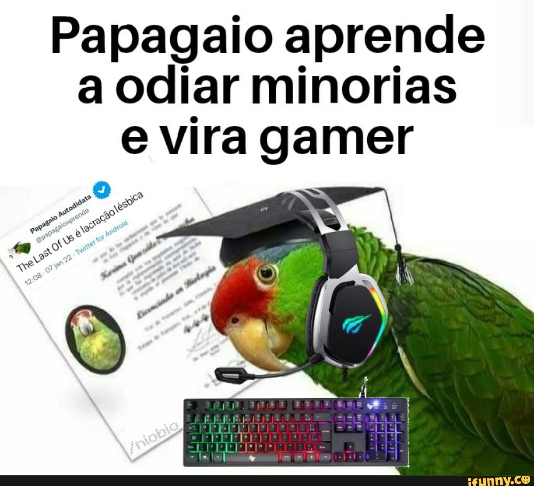 Escola Games: Papagaio Brasil