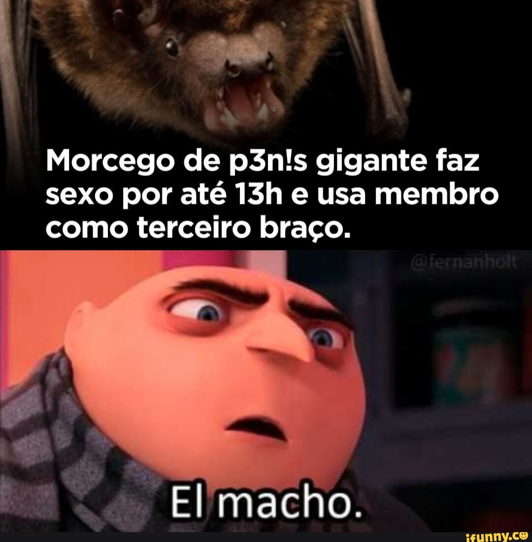 Memes de imagem FgWBGCNKA por bracoel - iFunny Brazil