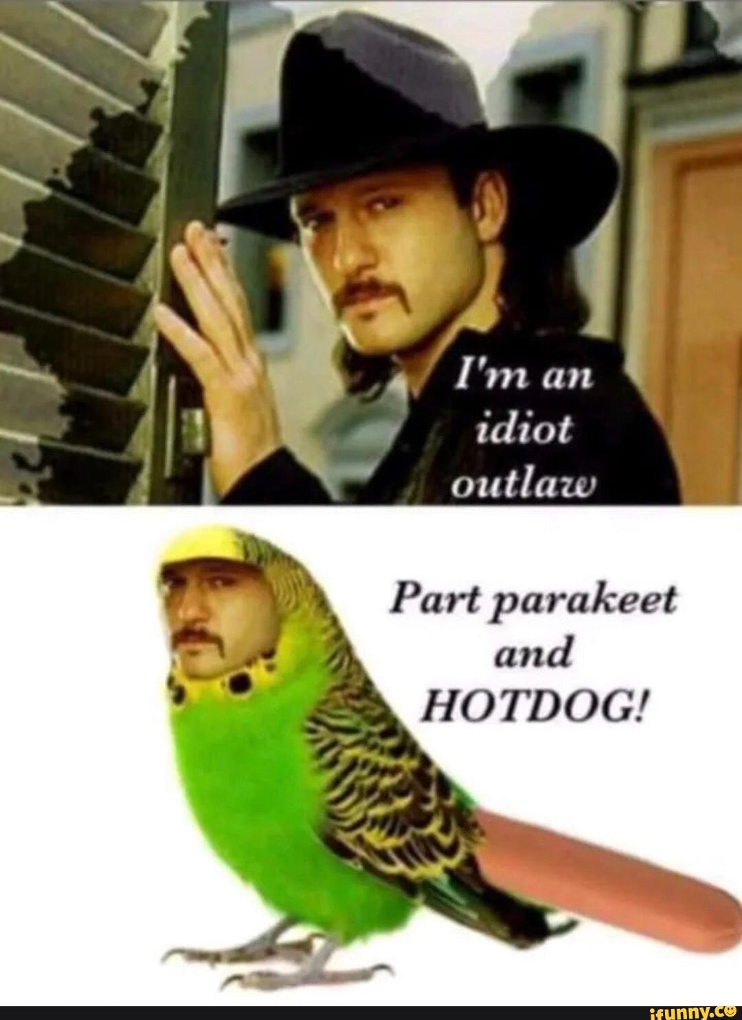 Indian outlaw meme