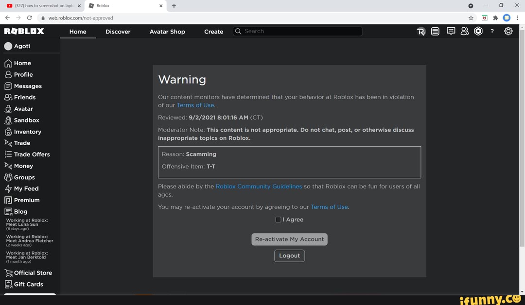 Agoti Home & Profile Messages Friends Avatar Sandbox Inventory Trade