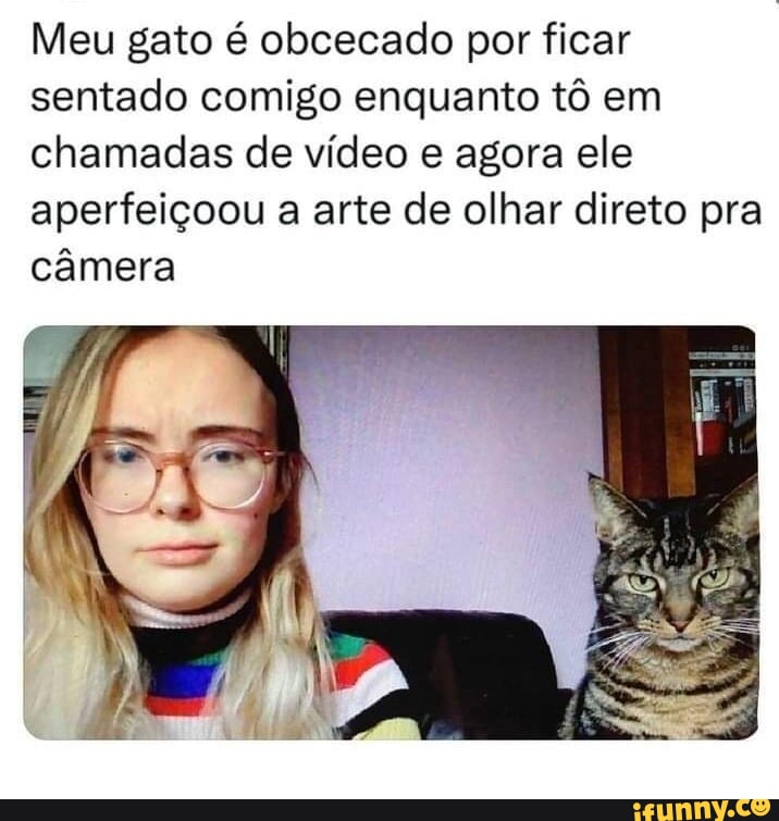 Pounoia memes. Best Collection of funny Pounoia pictures on iFunny Brazil