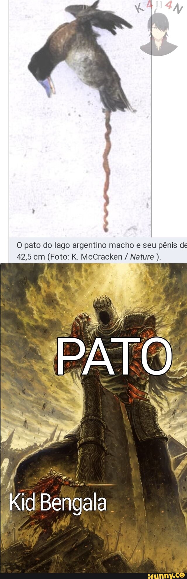 Mccracken memes. Best Collection of funny Mccracken pictures on iFunny  Brazil