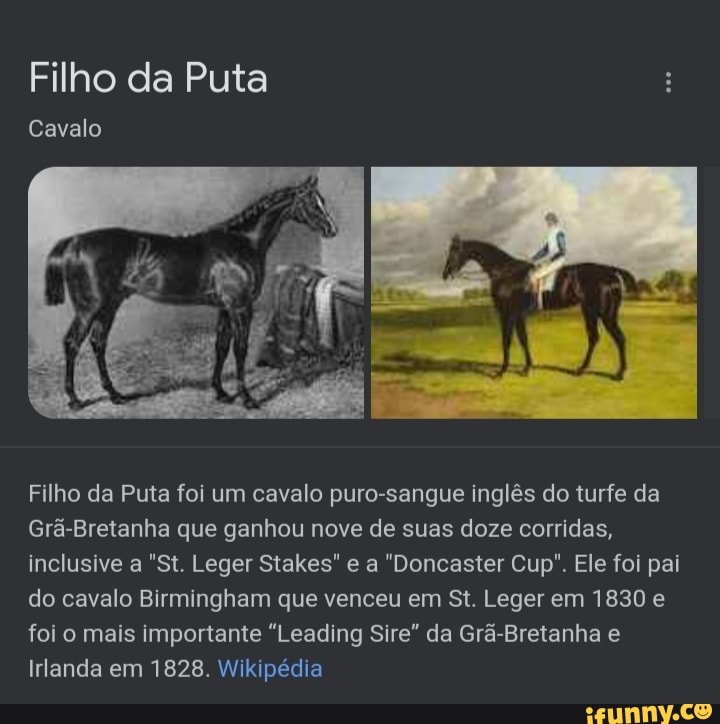 Visão  Era uma vez um cavalo de corrida chamado Filho da Puta