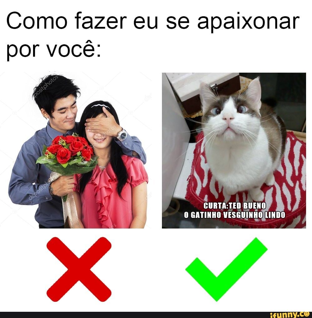 Qual animal você é quando se apaixona?