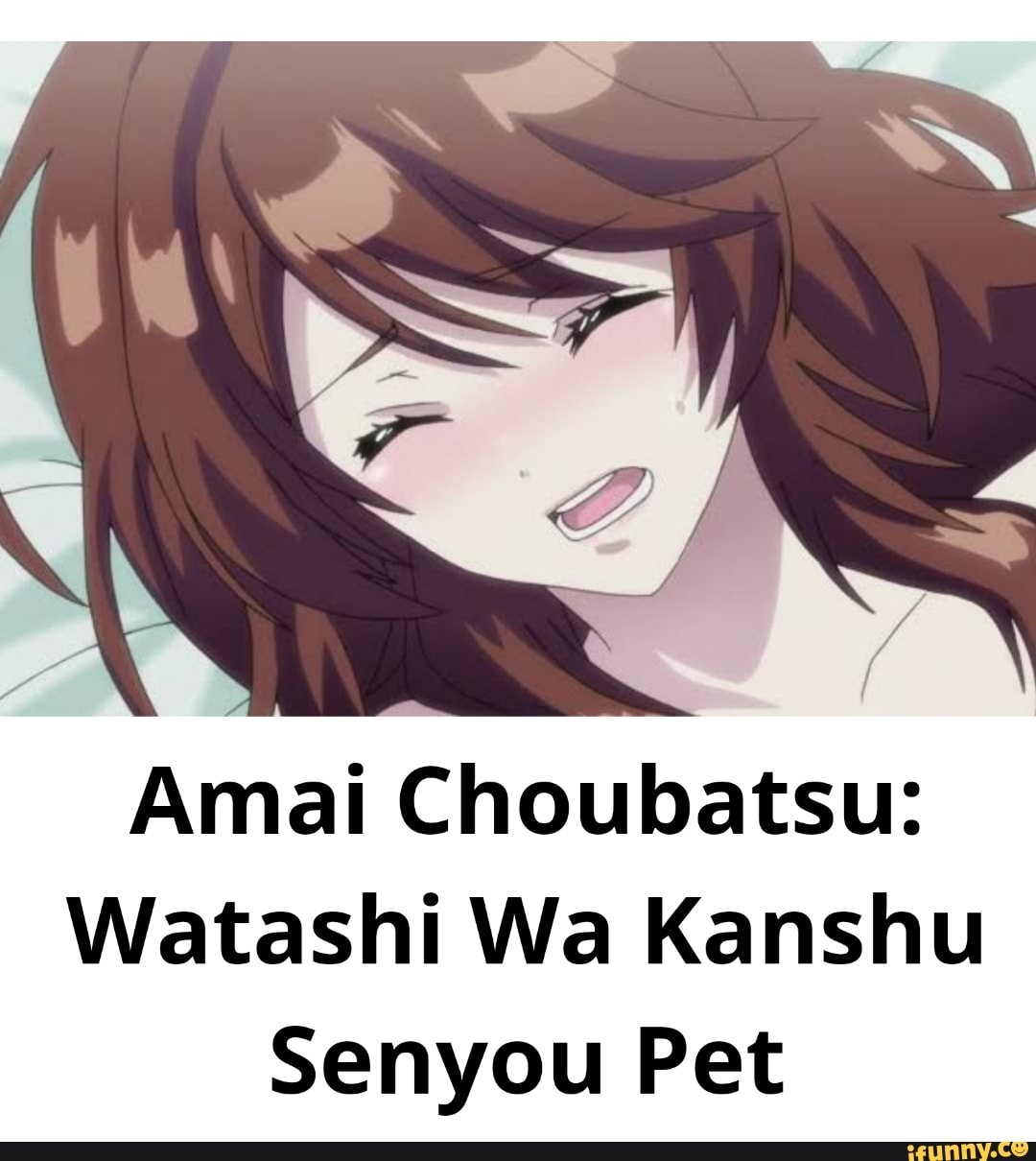 Amai Choubatsu: Watashi Wa Kanslaw Pet - iFunny Brazil