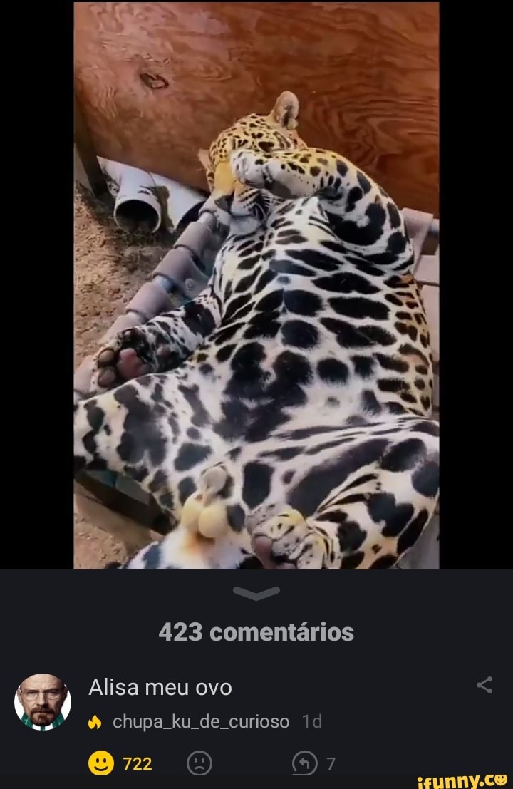 423 comentários Alisa meu ovo chupa ku de curioso 722 OM - iFunny Brazil