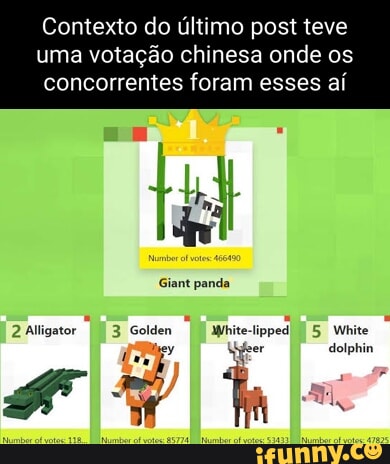 Votacao memes. Best Collection of funny Votacao pictures on iFunny Brazil