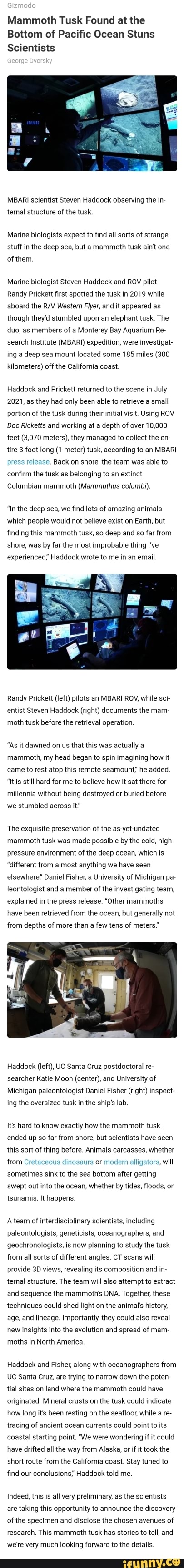 Mammoth Tusk Found at the Bottom of Pacific Ocean Stuns Scientists ...