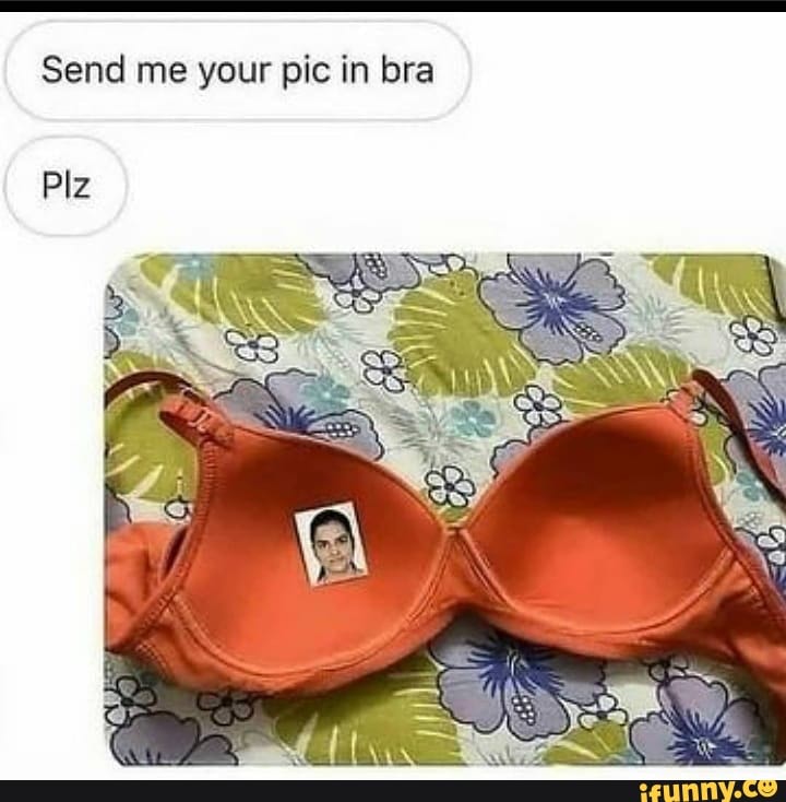 Send me your pic in bra Plz - iFunny Brazil