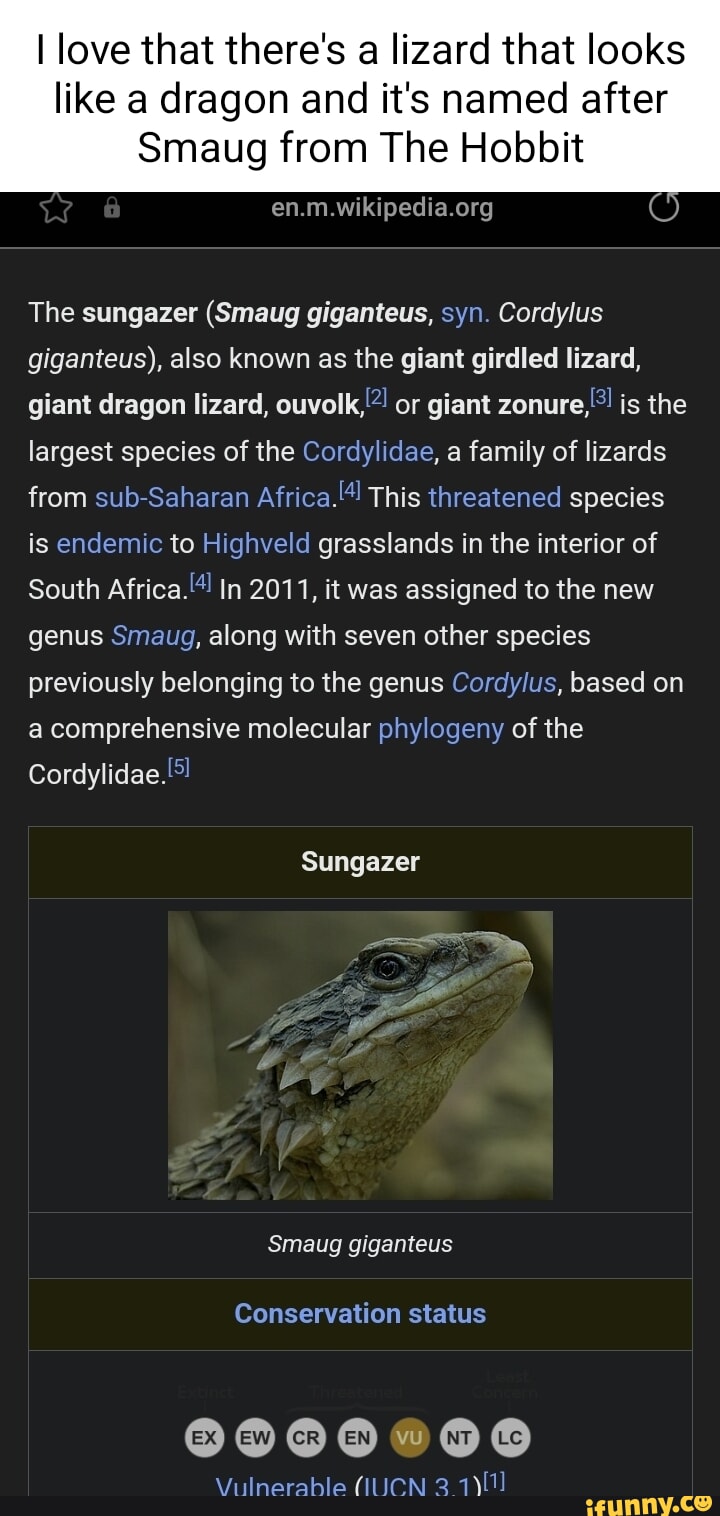 Smaug - Wikipedia