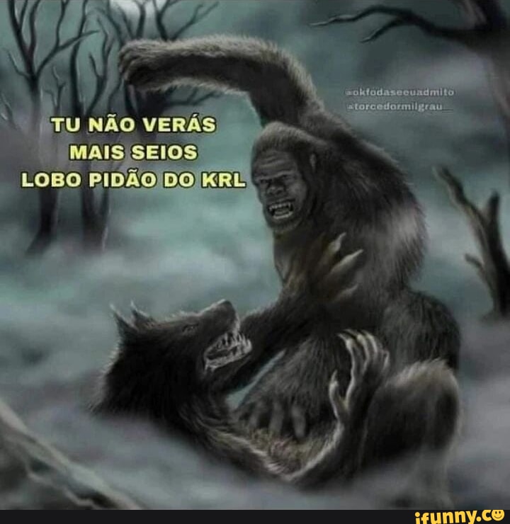 Se eu usar uma dessa 3 id vc beija o lobo? - iFunny Brazil