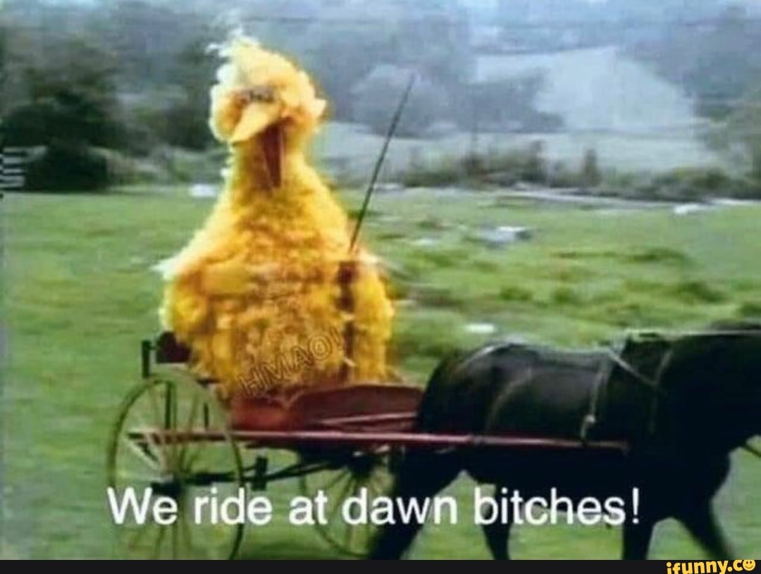 We ride at dawn blishes! - iFunny Brazil