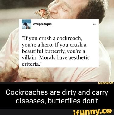 Translation: If you smash a cockroach, you're a hero. If you smash a  butterfly, you're a villain. Morality has an aesthetic criteria. :  r/im14andthisisdeep