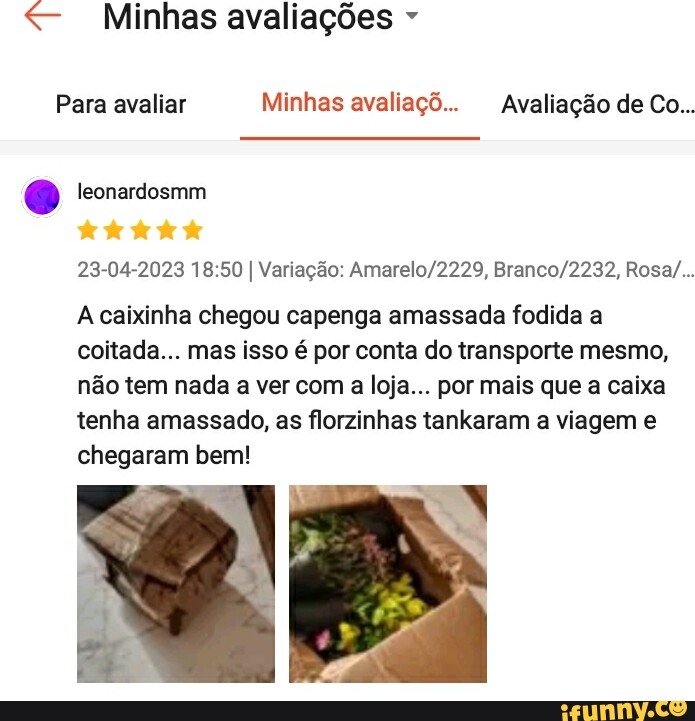 Amassado memes. Best Collection of funny Amassado pictures on iFunny Brazil