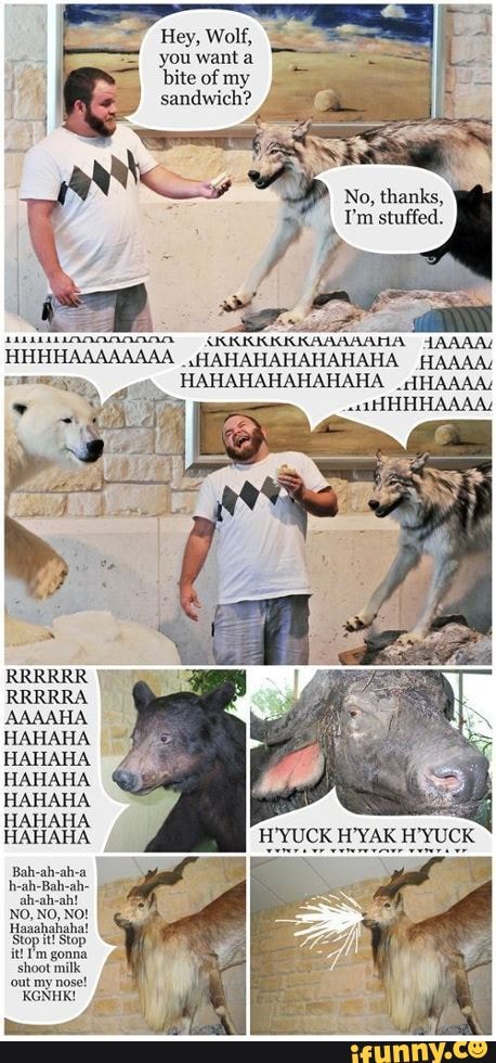 Hahahahahaha memes. Best Collection of funny Hahahahahaha pictures on  iFunny Brazil