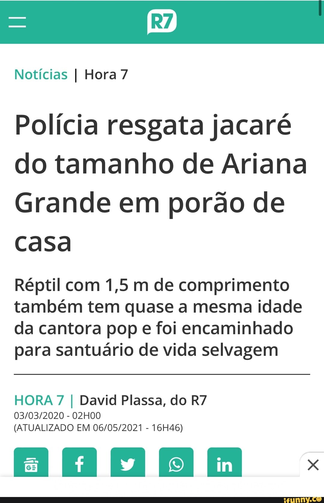 Que idade é o tamanho M?