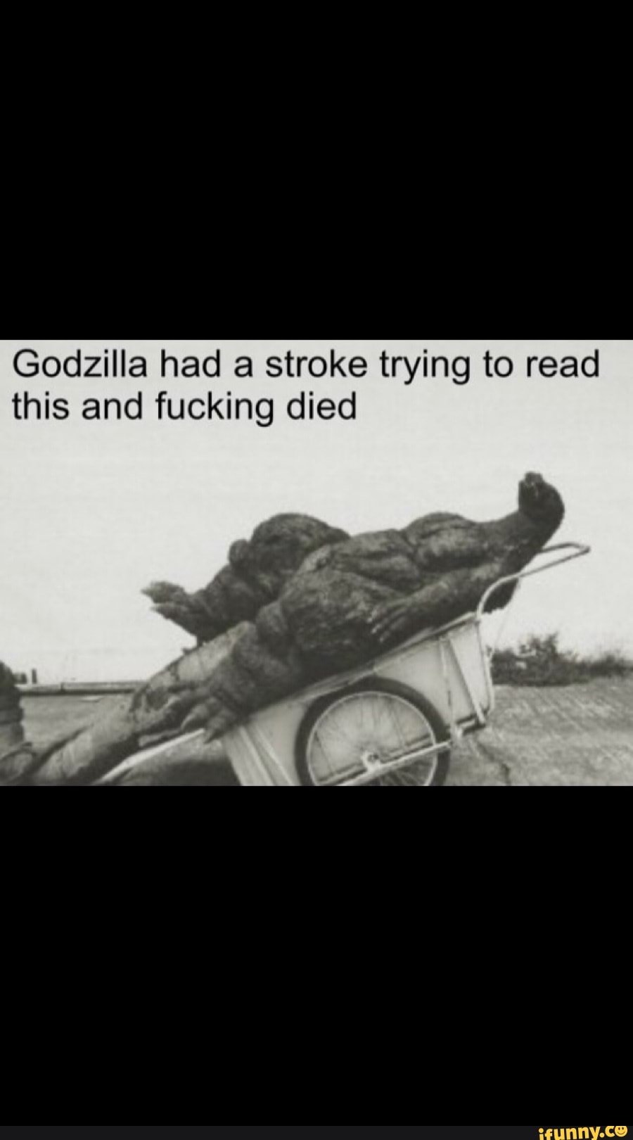 Godzilla had a stroke trying to read this and fucking died - iFunny Brazil