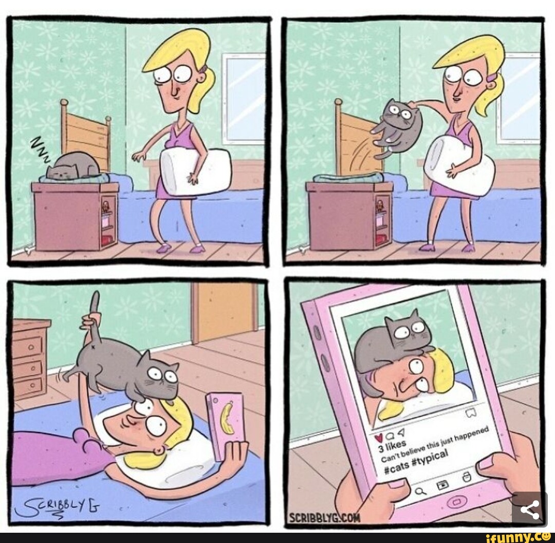 Tiktoksucks memes. Best Collection of funny Tiktoksucks pictures on iFunny  Brazil