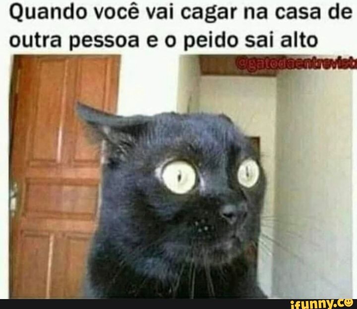 Top Memes em Imagens - O cocô fazendo graça na casa dos outros 