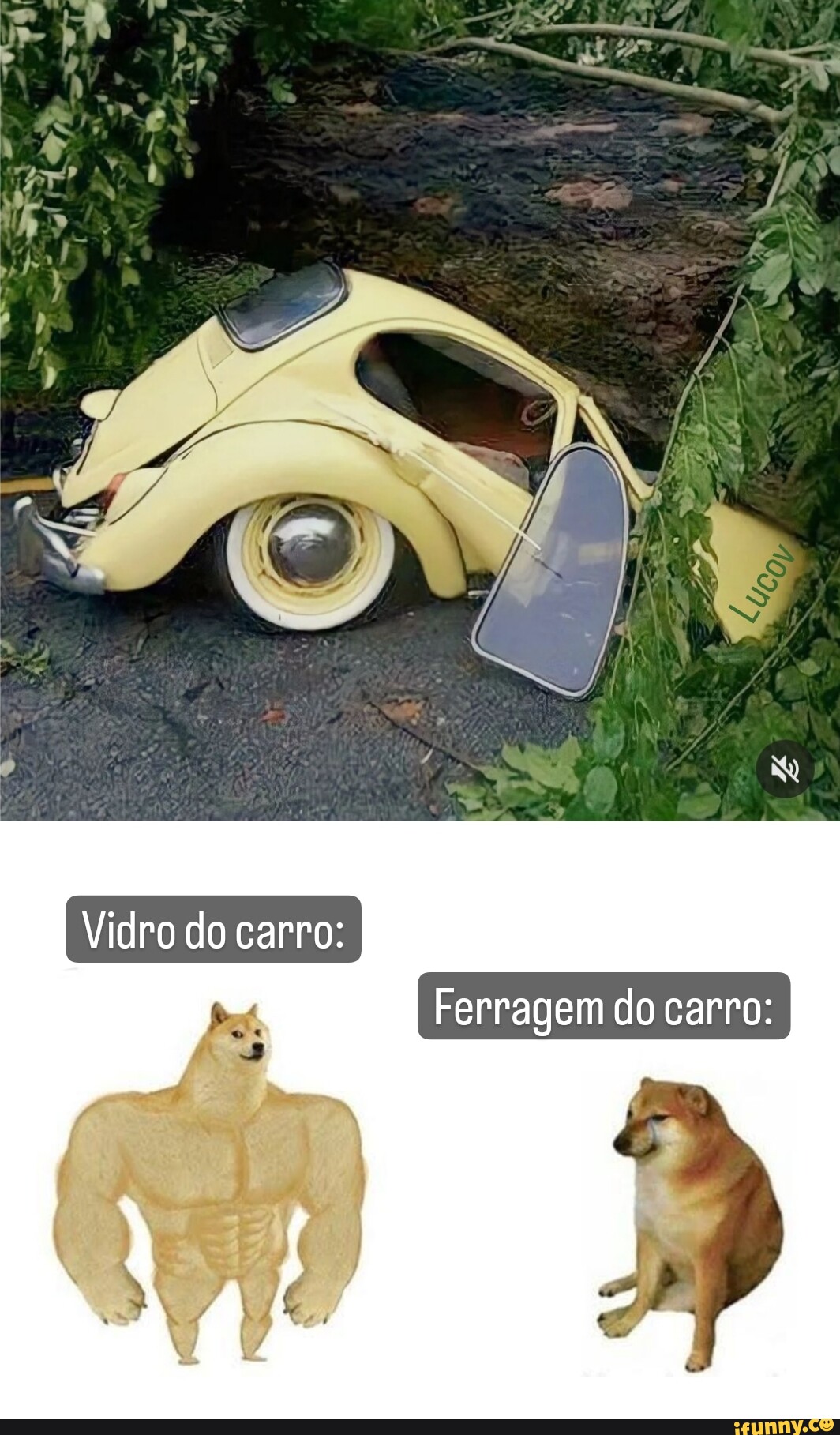 Amassado memes. Best Collection of funny Amassado pictures on iFunny Brazil