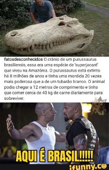 Sorasos memes. Best Collection of funny Sorasos pictures on iFunny Brazil