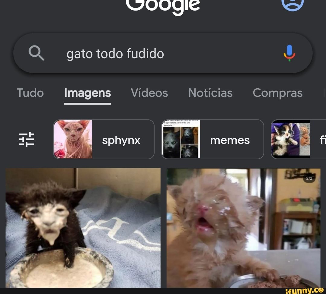 Gato Brazilian Videos – Apps no Google Play