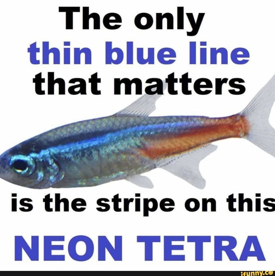 The only thin blue line that matters is the stripe on this NEON