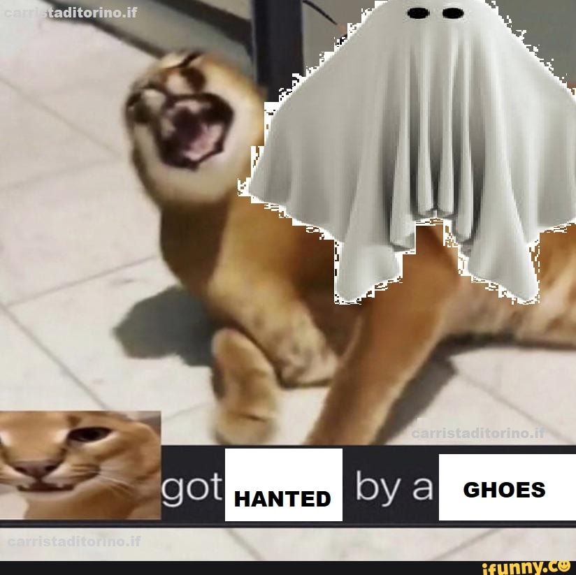 Ghostmeme memes. Best Collection of funny Ghostmeme pictures on iFunny  Brazil