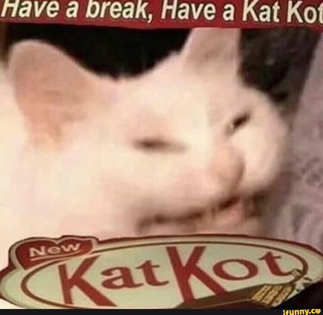 Kitka memes. Best Collection of funny Kitka pictures on iFunny Brazil