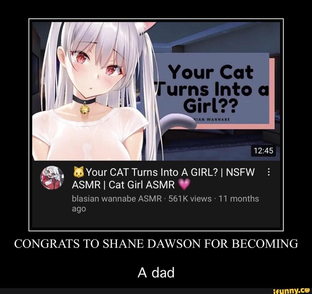 Cat_girl memes. Best Collection of funny Cat_girl pictures on iFunny Brazil