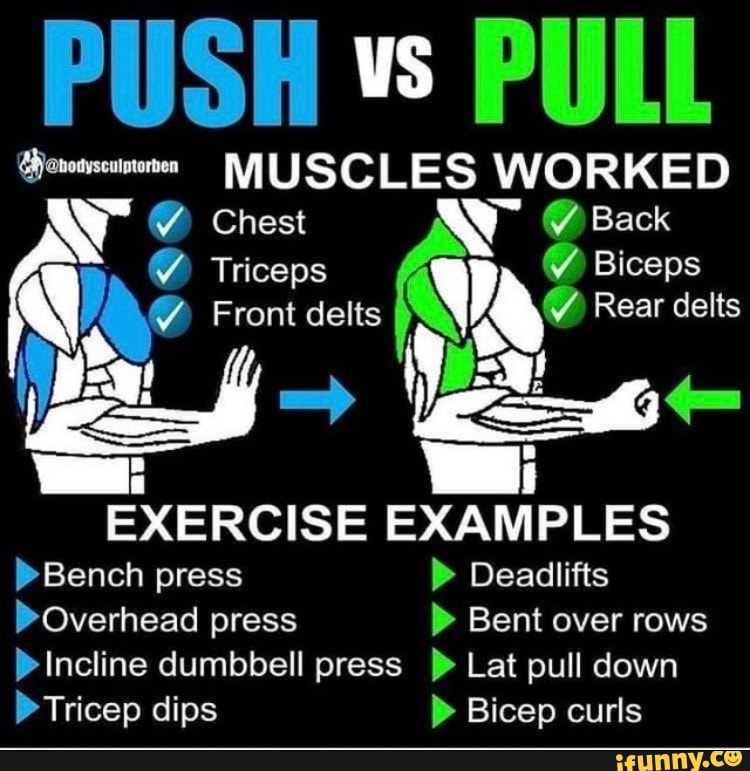 PUSH US PULL MUSCLES WORKED Chest Back Triceps Biceps Front