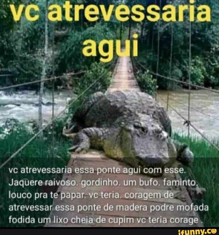 Emperre porcaria da porta pra você ver ER se atreva mais uma vez (6 a  jogar o pão em mim denovo senhor Stark ele jogou a banana em mim denovo -  iFunny Brazil