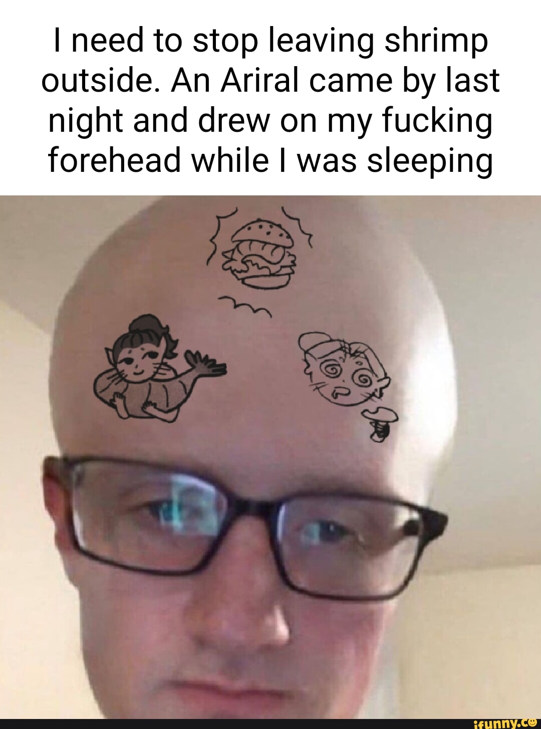 I need to stop leaving shrimp outside. An Ariral came by last night and  drew on my fucking forehead while I was sleeping - iFunny Brazil