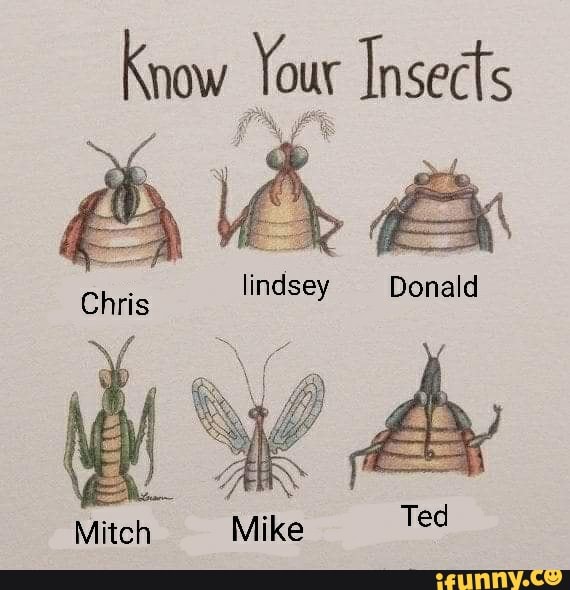 Know Your Insects lindsey Donald Mitch Mike Ted - iFunny Brazil