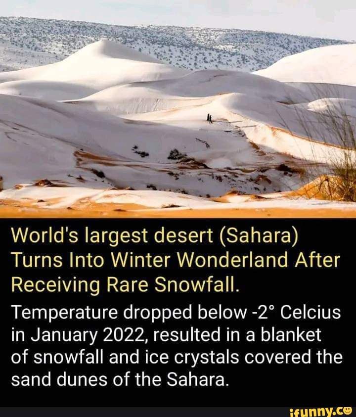 World S Largest Desert Sahara Turns Into Winter Wonderland After   930710717ac722d654bad3b09a3368ab13a57ff7509d5c095f13d7eb255be527 1 