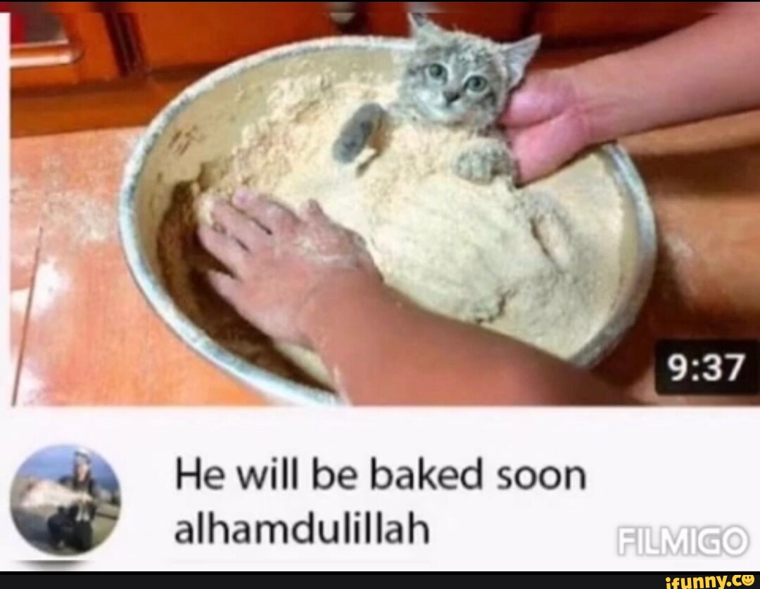 He will be baked soon alhamdulillah - iFunny Brazil