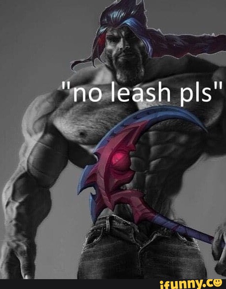 League of Legends: What Is Leash?