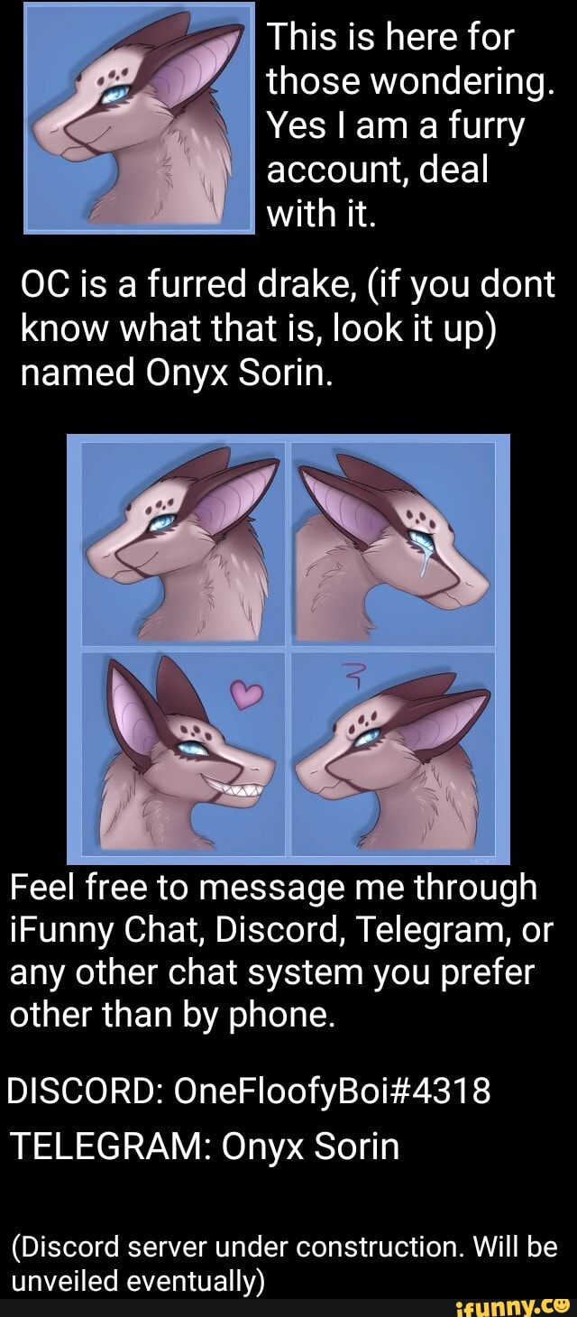 RELATABLE FURRY MEMES from a Furry Discord Server! by