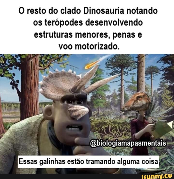 Motorizada memes. Best Collection of funny Motorizada pictures on iFunny  Brazil