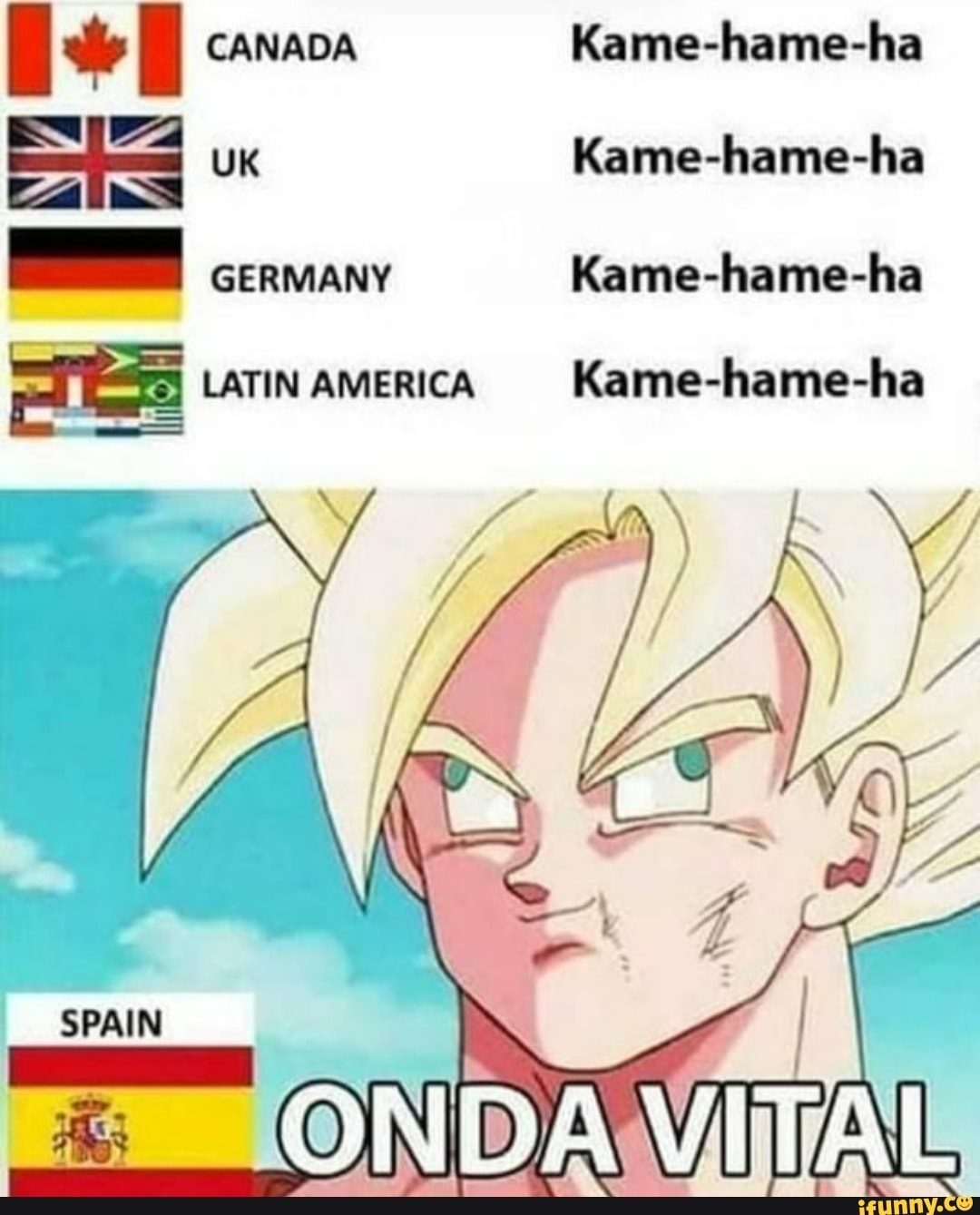 Kame memes. Best Collection of funny Kame pictures on iFunny Brazil