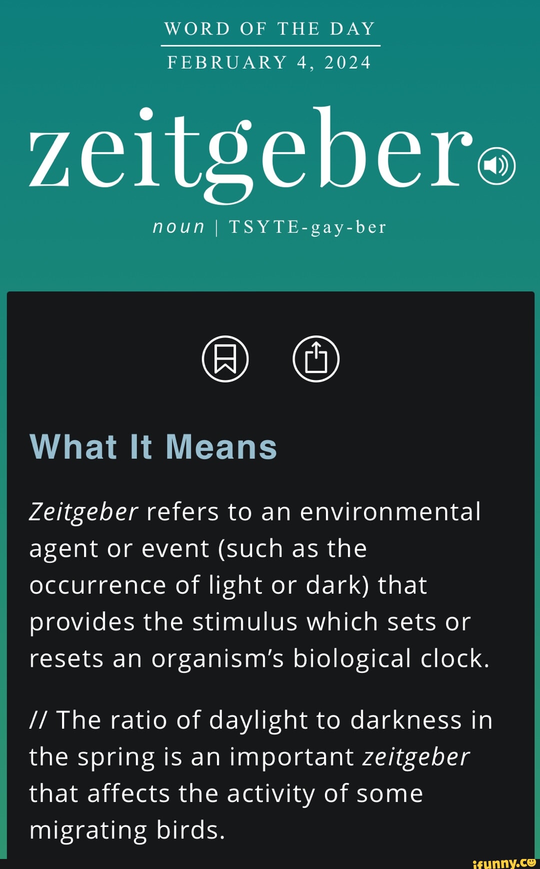 WORD OF THE DAY FEBRUARY 4, 2024 zeltgebere noun I TSYTEgayber What