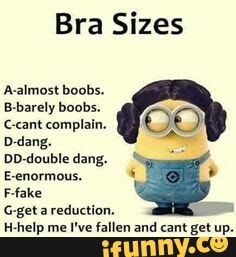 Bra Sizes A-almost boobs. B-barely boobs. Geant complain. D-dang. DD-double  dang. E-enormous. Ffake G-geta reduction. H-help me I've fallen and cant  get up. - iFunny Brazil