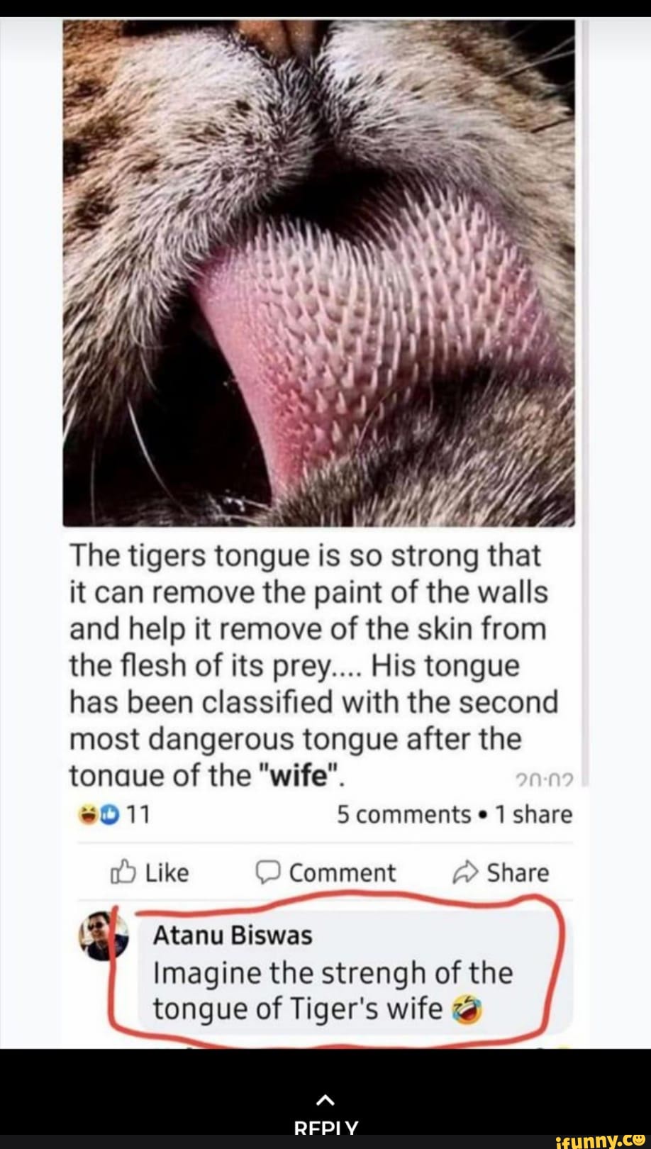 tiger tongue