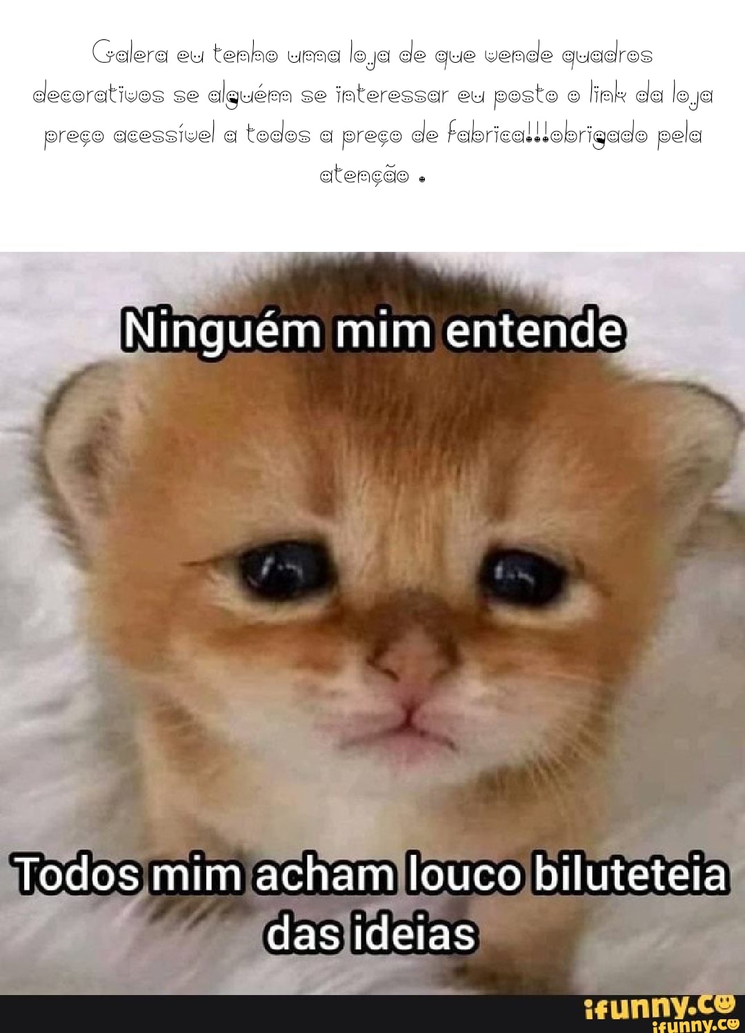 Memes acessíveis - Descrição: na foto de cima, um gato branco