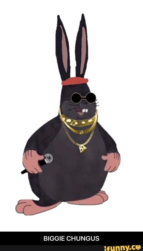 BIGGIE CH GUS - BIGGIE CHUNGUS - iFunny Brazil