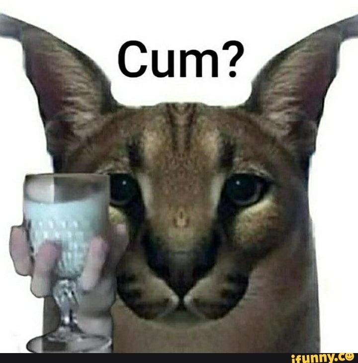 Memes de imagem 2gDp25g09 por quokkito: 1 comentário - iFunny Brazil