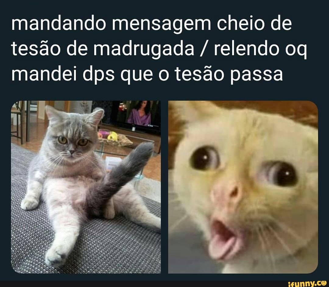 Mandando mensagem cheio de tesão de madrugada relendo oq mandei dps que o  tesão passa - iFunny Brazil