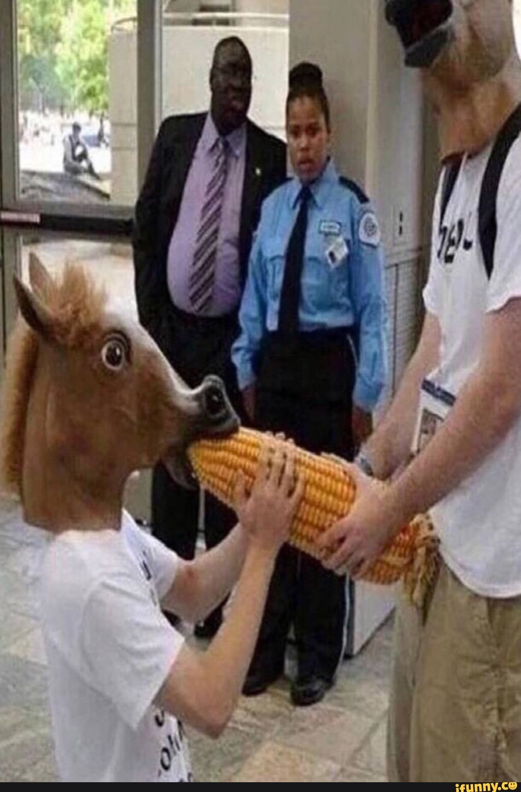 1066px x 1620px - Horseporn memes. Best Collection of funny Horseporn pictures on iFunny  Brazil