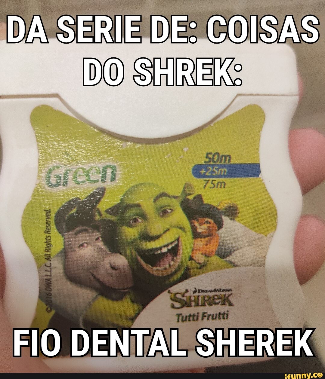 Coisas mais impossíveis de virar reais 1: anime do shrek - iFunny Brazil